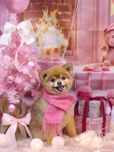 20241228のんちゃん